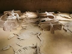 -洛阳周王城天子驾六博物馆