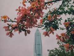-莲花山公园