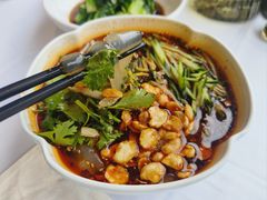浑源凉粉-凯鸽酒楼(操场城店)
