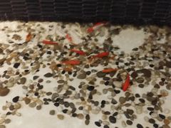 82322523587281258-天津水游城丽筠酒店