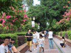 -铁路文化公园