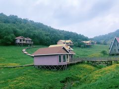 -关山草原