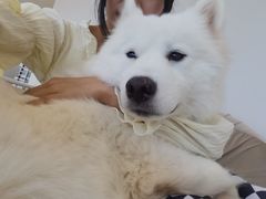 -怪兽屋·羊驼·猫咖·狗咖(俊华广场店)