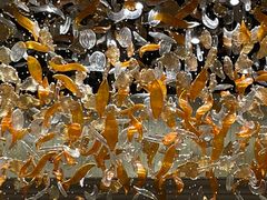 -东海朗廷酒店-唐阁T’ANG COURT 中餐厅