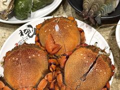 -初色海鲜自助(万丰路店)