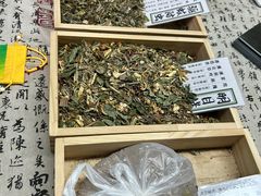 -西安市长乐公园