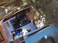 大块虾肉虾滑-傣妹火锅(南京东路一店)