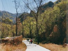 -湖洞水自然风景区