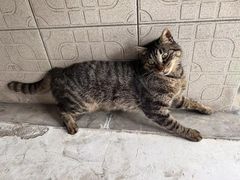 -川湘小厨(江场西路店)