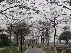 -海珠湖公园