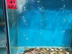 -海大大蒸汽海鲜餐厅·粤菜·特色小炒(欢乐颂店)
