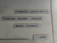 -甲乙丁書店·书茶咖·四合院