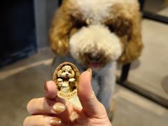 -来回·咖啡(钟村咖啡豆店)