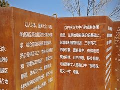 -白水寺森林公园