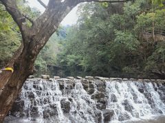 -石台牯牛降景区