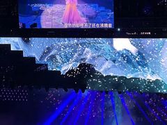 -南京奥林匹克体育中心-体育馆