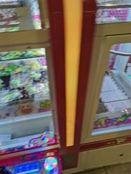 -卡通尼·Safari非洲探索乐园·生日会(金桥国际商业广场店)