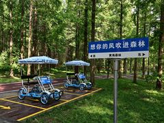 -黄海国家森林公园