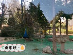 -陕西自然博物馆