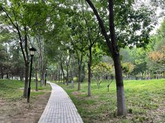 -大兴滨河森林公园