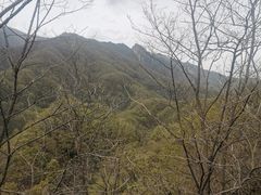 -牛背梁国家森林公园