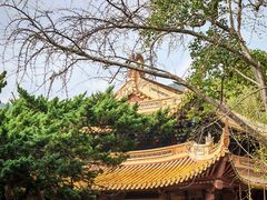 -普陀山风景名胜区-法雨禅寺