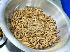 -大学城夜市大排档(凤栖路店)