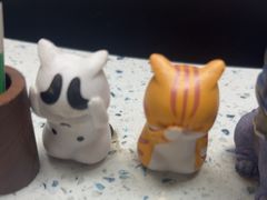 -半岛宠物医院24小时(白果林店)