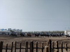 -泉城欧乐堡梦幻世界