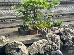 -普陀山风景名胜区-法雨禅寺