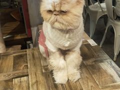 -小时光咖啡馆(开森度假森林店)
