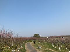 -上海海湾国家森林公园