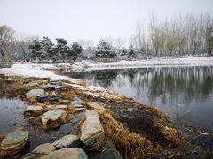 -大兴滨河森林公园