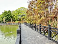 -海珠湖公园