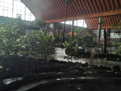 -河北霸州茗汤日月潭温泉