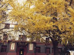 -四川大学(望江校区)