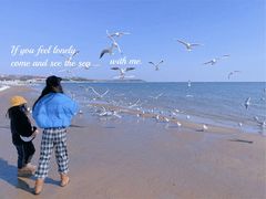 -老虎石海上公园