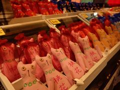 -猫咪博物馆(顶澳仔猫街店)