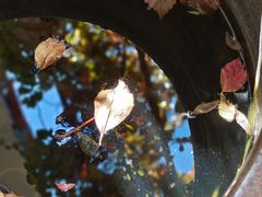 -伊隆斋(什刹海店)