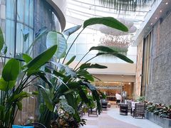 -青岛海尔洲际酒店