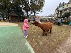-老淳安—伴山伴湖(千岛湖开元度假村店)