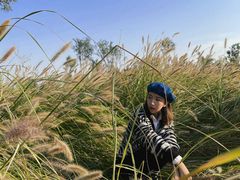 -汉长安城未央宫国家考古遗址公园