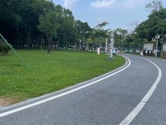 -顺峰山公园