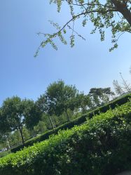 -HEYAN荷妍专业脱毛连锁机构