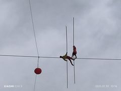 -栾川竹海野生动物园