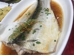 清蒸白水鱼-新虹楼饭庄(崇明陈家镇店)