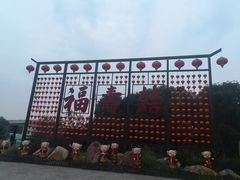 -合肥滨湖国家森林公园