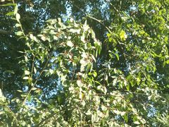 -北京市二清机动车检测场有限公司