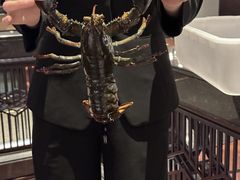 -鱼乐轩·俄罗斯海鲜直供餐厅(群力店)