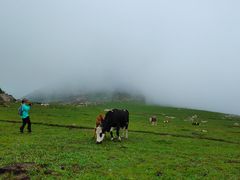 -灵山